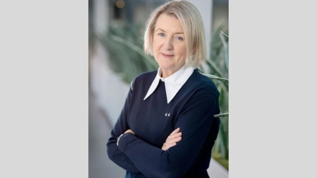 London borough interim chief stands down