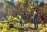 tree-planting-climate-change-net-zero-shutterstock-vesnaart-3x2-1-160x110.webp