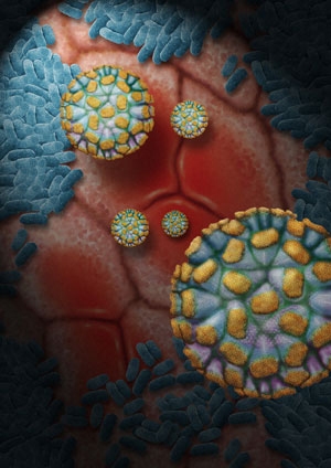 norovirus edinburgh 2018 norovirus edinburgh 2018