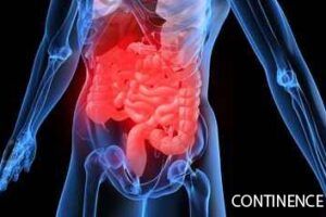 Double peer-reviewed clinical practice articles on bladder and bowel