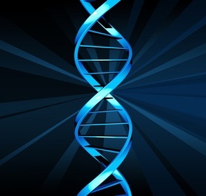 Death Of Male Y Chromosome Greatly Exaggerated Nursing Times