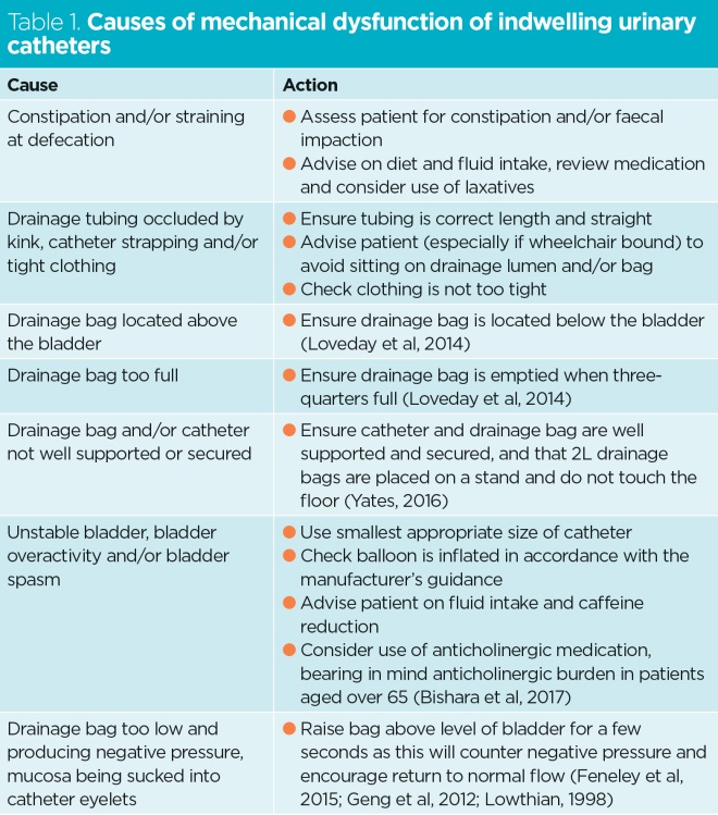 Catheter Care And Maintenance At Carol Hassel Blog