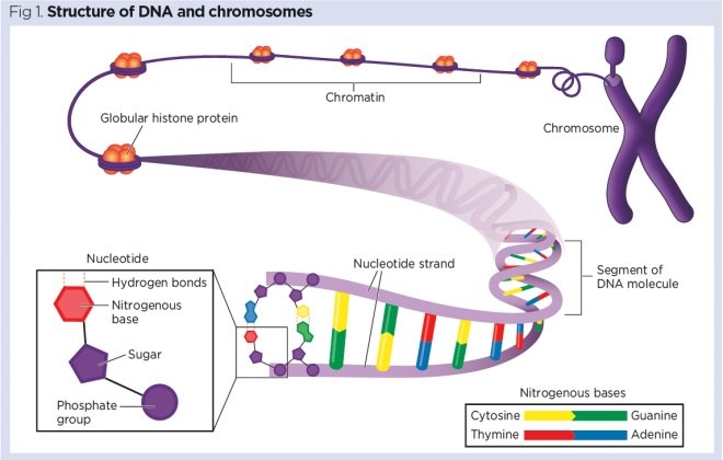 Principles of genetics by gardner pdf free download