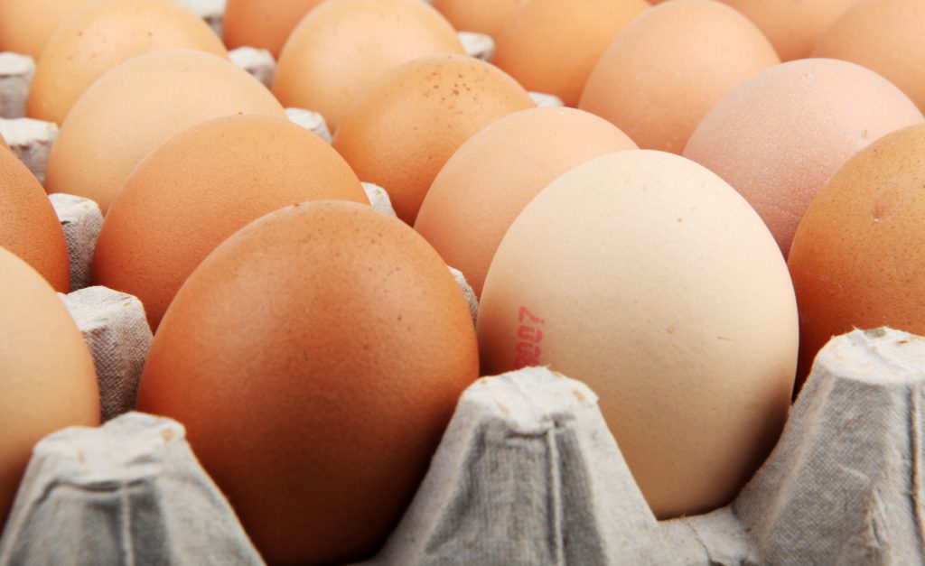More than 200 people hit by UK Salmonella outbreak including a death