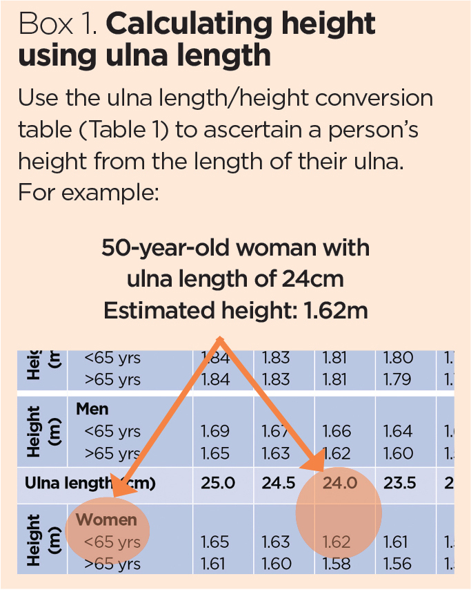Accurate Measurement Of Weight And Height 2 Height And BMI Calculation 
