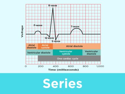 prison break index of season 1 prison break index of season 1