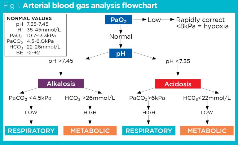 Essential critical care skills 6: arterial blood gas analysis | Nursing ...