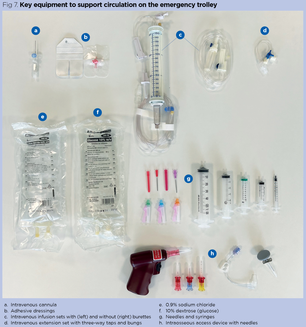 Paediatric emergency trolley 2: equipment to support circulation ...
