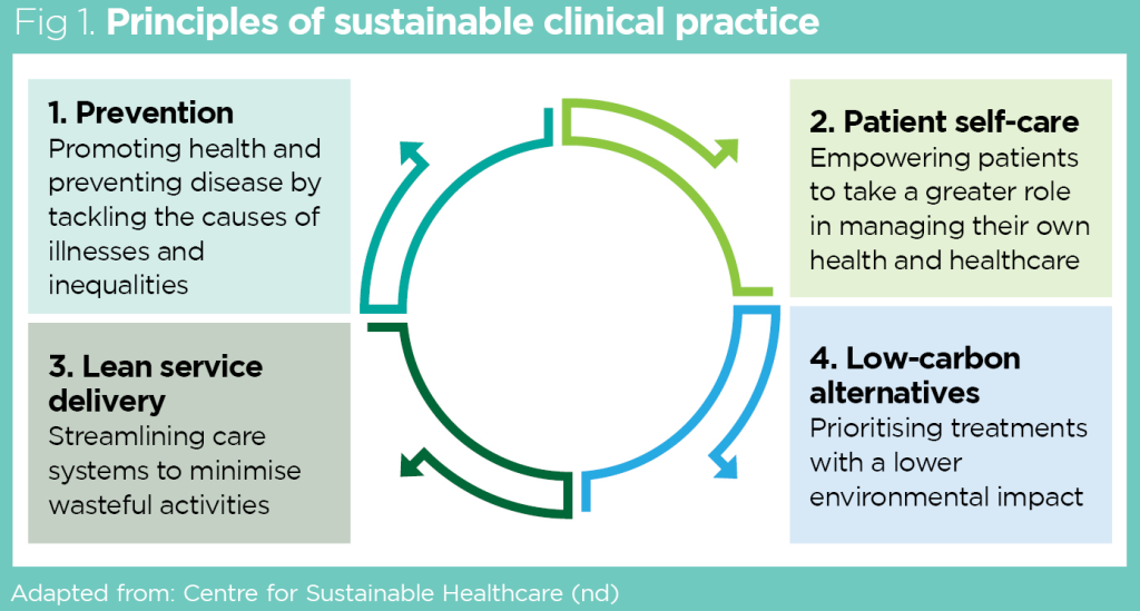 Greening the NHS 2: using the Green Team Competition to effect change