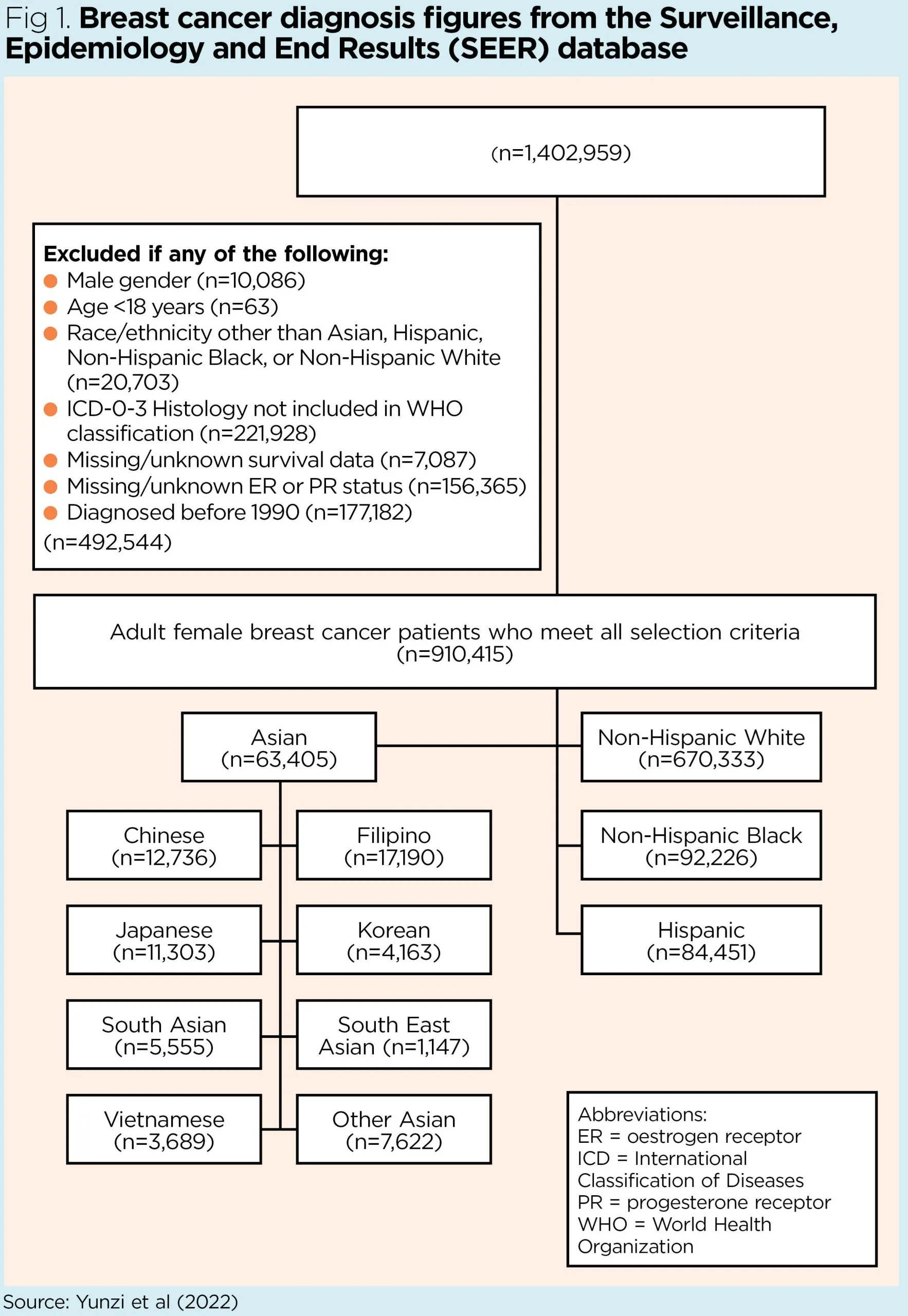 Equitable breast cancer care and outcomes for diverse ethnic women ...